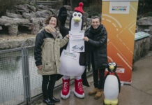 Eissporthalle bleibt Patin des Humboldt-Pinguins Kufi