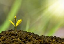 Volks-Invest: „Jeder soll die Chance haben, klug zu investieren“